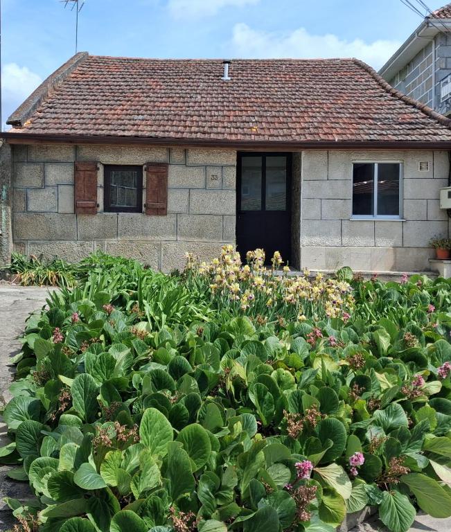 a garden of flowers in front of a house at Casa YaraMaya in Carballino