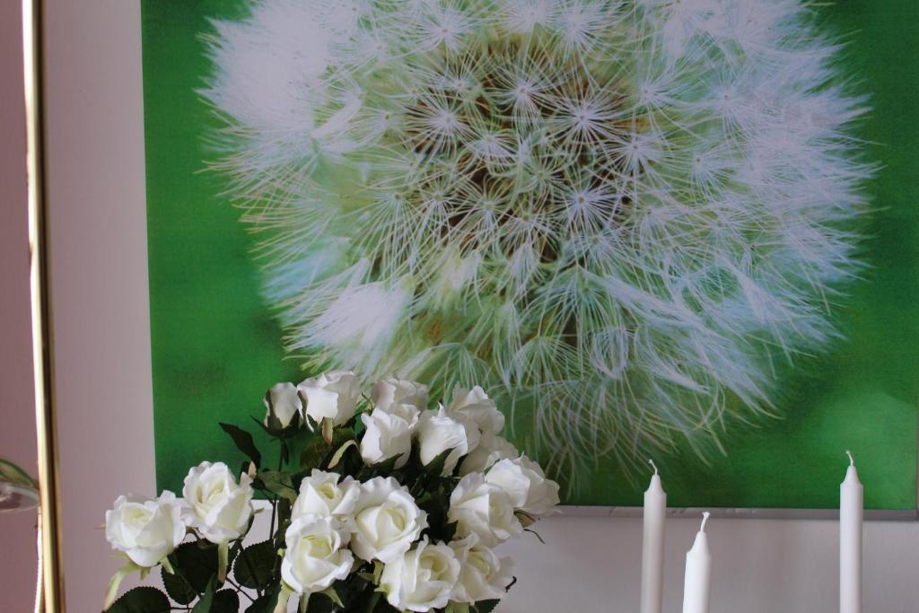 Fotografie z fotogalerie ubytování Bio Gesundheitshof Daxinger Mondsee