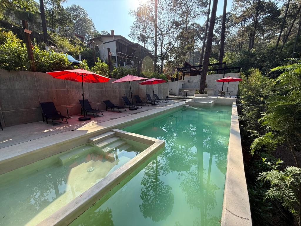 a swimming pool with chairs and umbrellas in a yard at Encino House Hotel & Glamping Valle de Bravo in Valle de Bravo