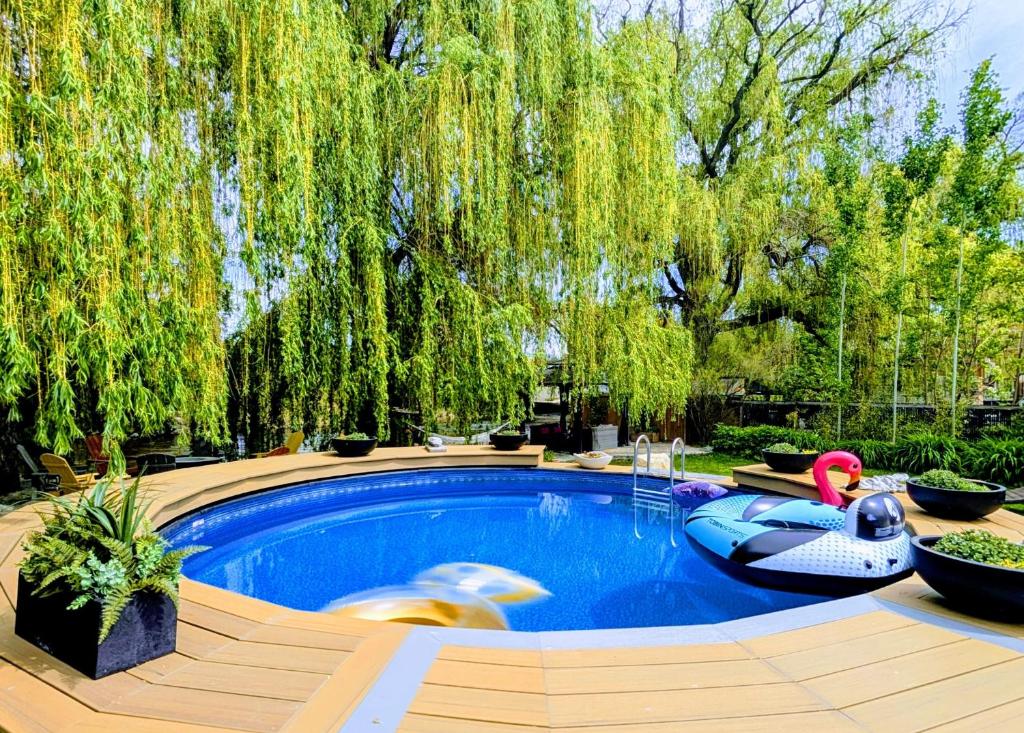 a swimming pool in a backyard with a large tree at Waterfront Oasis with Pool, Hot Tub & Pet Friendly in Kelowna