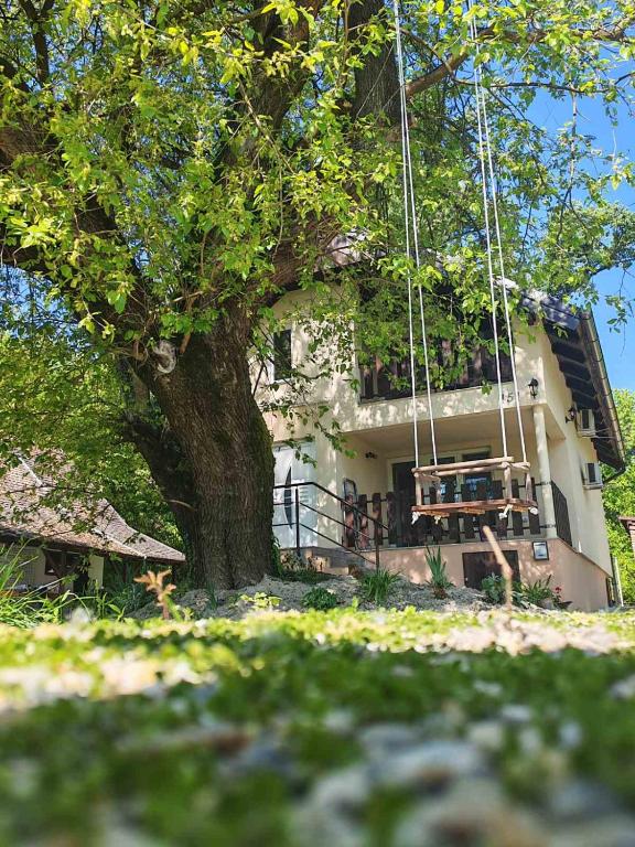 a swing hanging from a tree in front of a house at Dudov Hlad in Batina