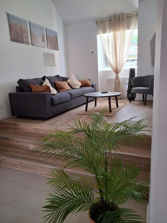 a living room with a couch and a palm tree at la clé de la rance in Plouër-sur-Rance