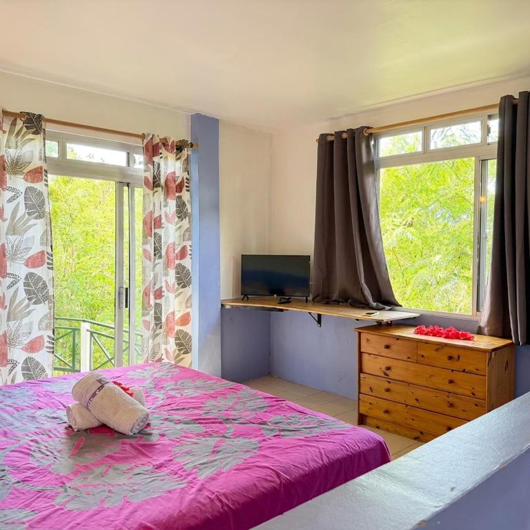 Large studio near city center - photo 2 - Tahiti, Polynésie