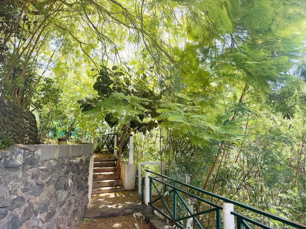 Large studio near city center - photo 6 - Tahiti, Polynésie