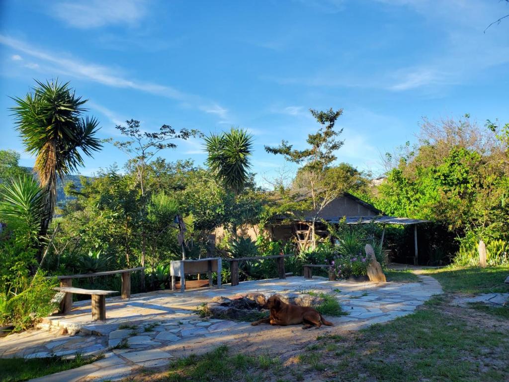 a dog laying on the ground in a yard at Vila Druida Spa Caipira in São Thomé das Letras