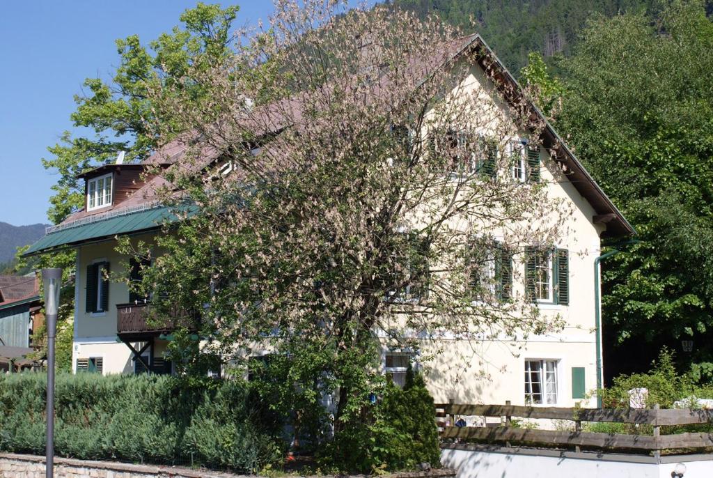a white house with a tree in front of it at Seevilla Annenheim in Annenheim