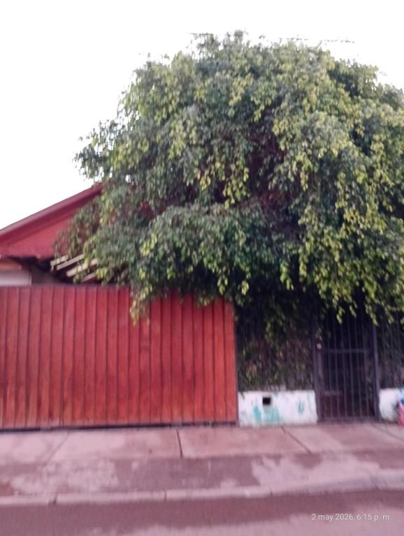 a tree on the side of a red fence at Valle de Elqui in Vicuña