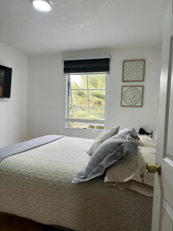 a bedroom with a bed with pillows and a window at Casa full in Santiago