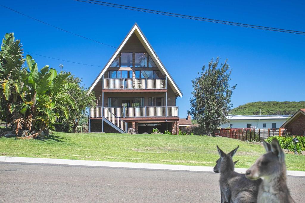 two rabbits standing in front of a house at Sea-renity in Kioloa