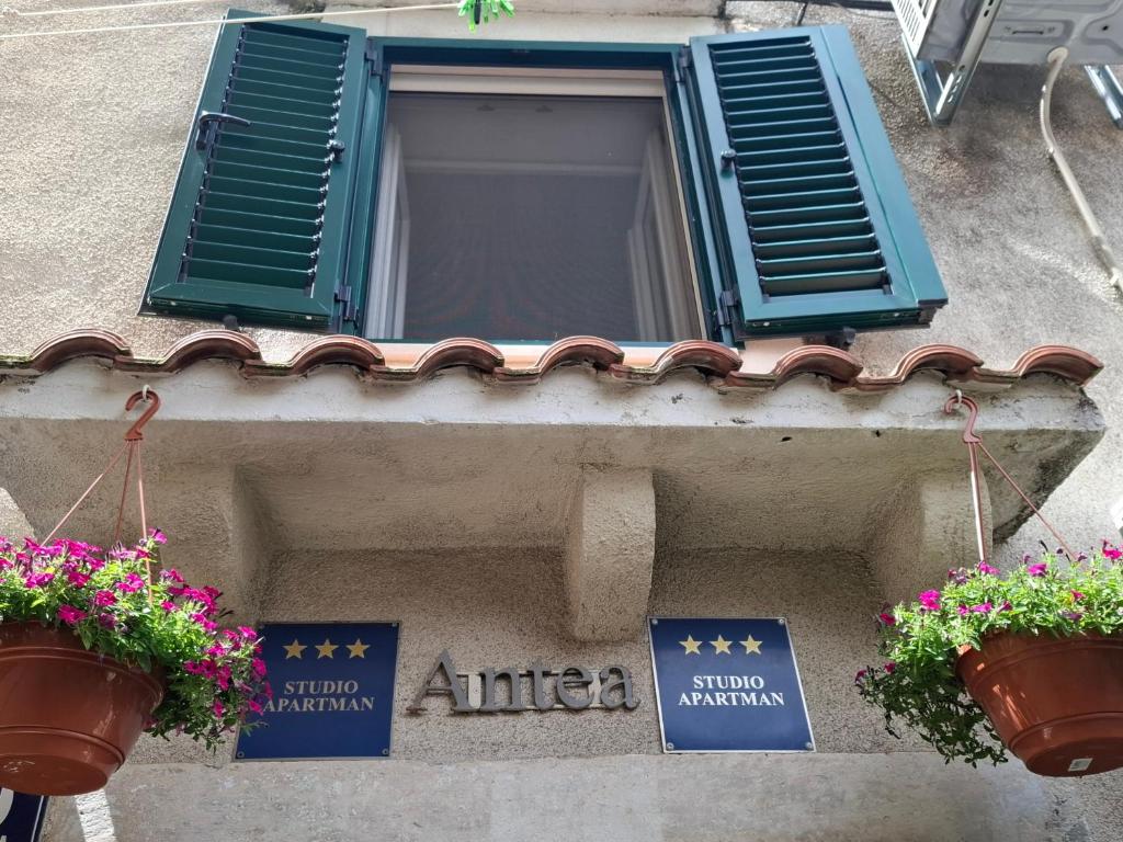 Antea
