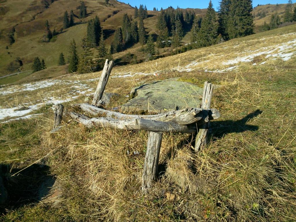Fotografia z galérie ubytovania SunAlpin - Ferienwohnungen v destinácii Schoppernau