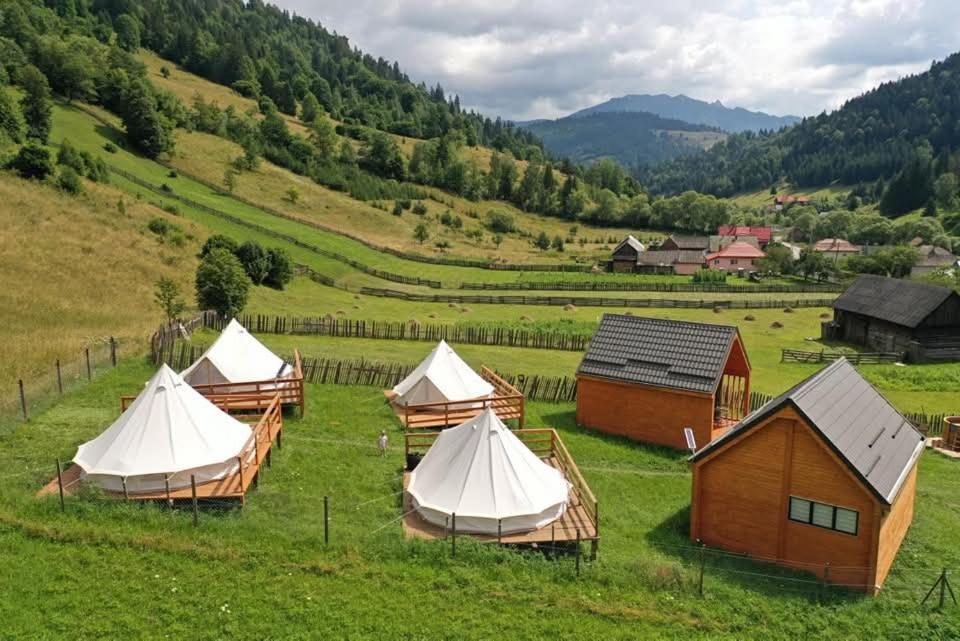 a group of tents in a field with a mountain at Chill Glamping in Corbu