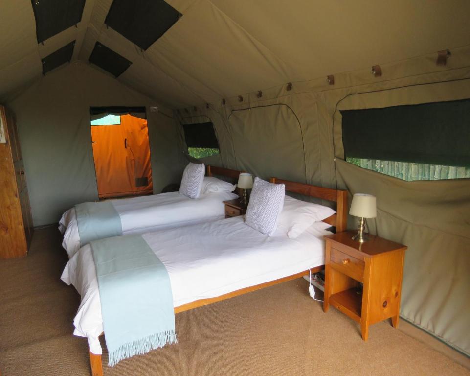 Postel nebo postele na pokoji v ubytování Woodbury Tented Camp – Amakhala Game Reserve