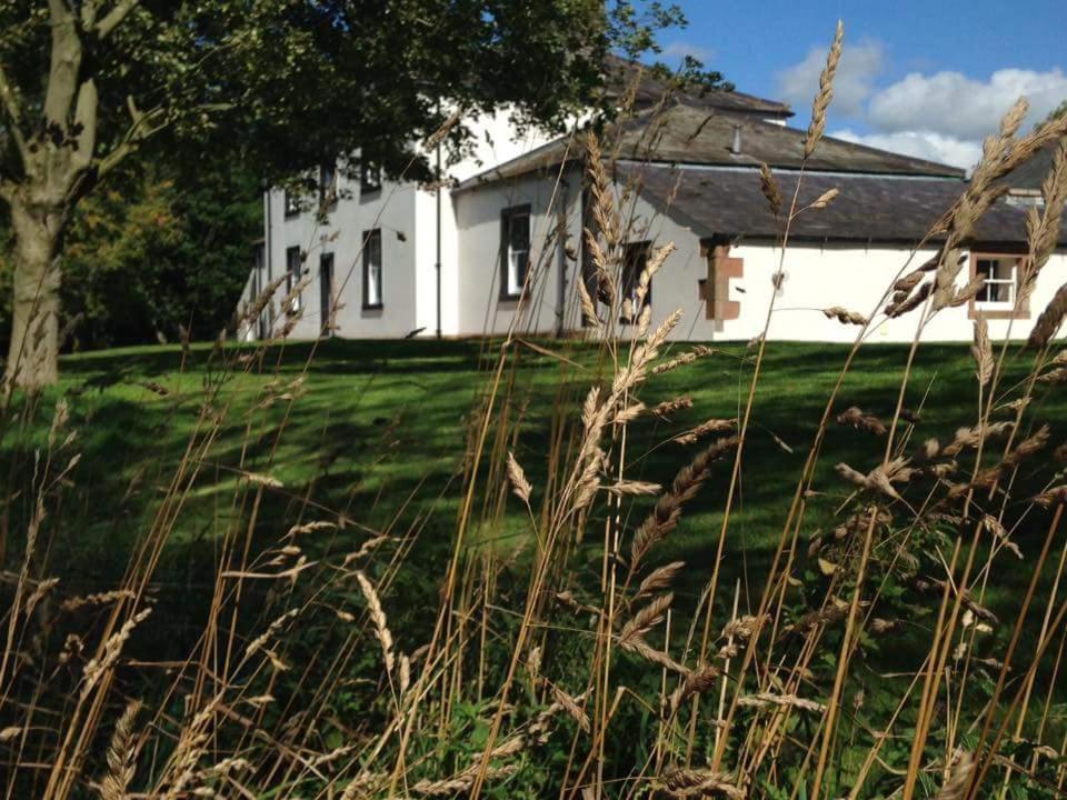 una casa blanca con un campo de hierba delante de ella en Lanercost Country B&B, en Brampton