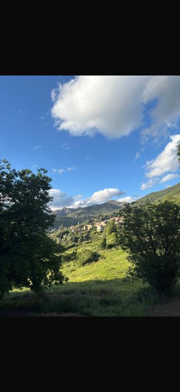 a view of a green field with trees on a hill at Chalet en Corse in Santa-Maria-Figaniella