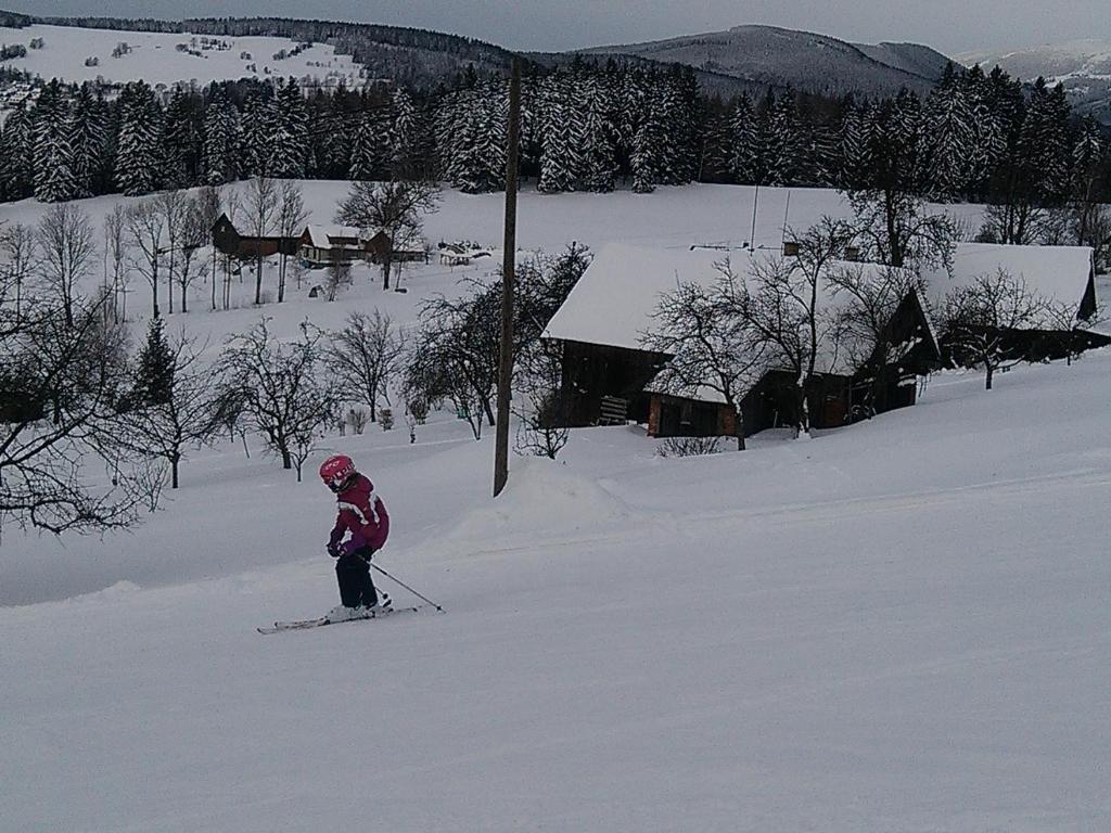 a person on skis in the snow near a cabin at Apartmány Kuřátko in Benecko