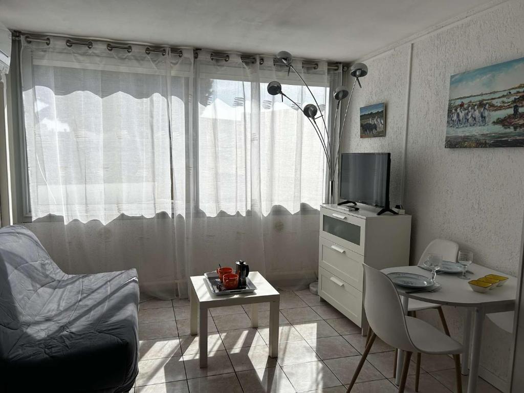 Appt Studio climatisé PORT CAMARGUE PC1020-132