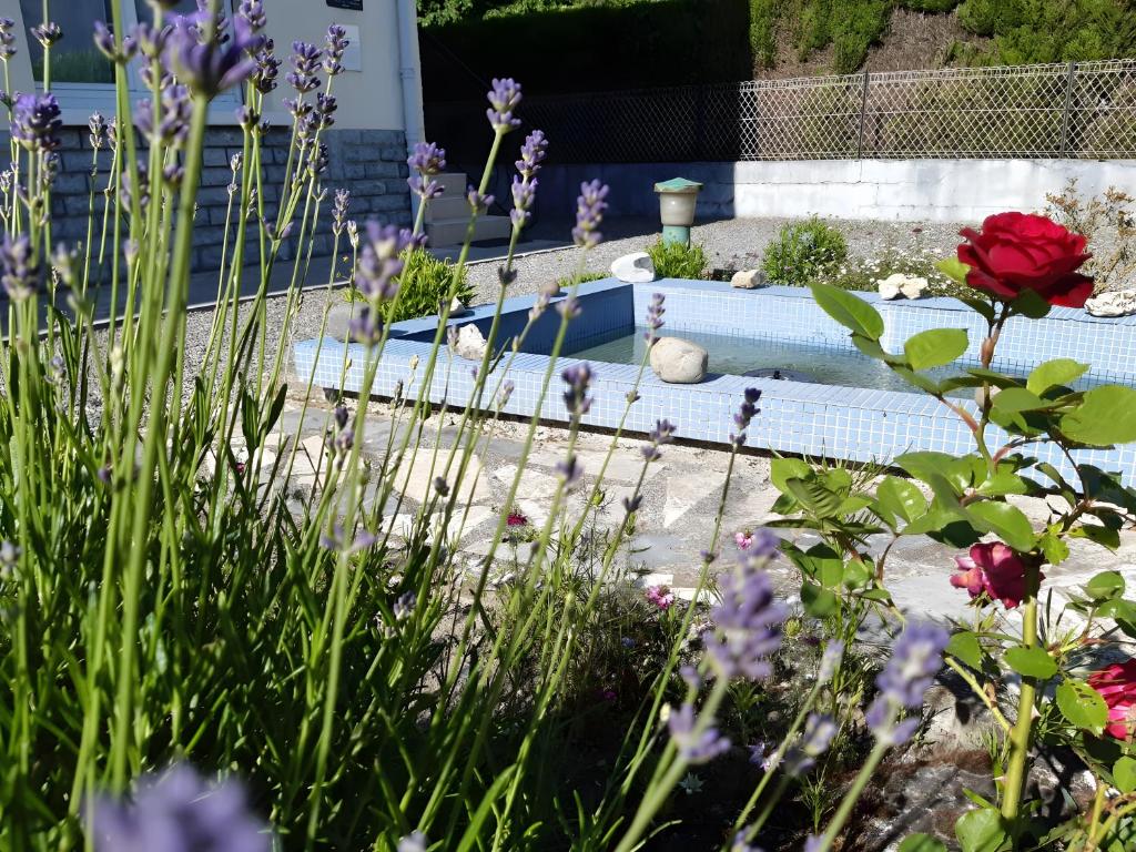 a garden with flowers and a swimming pool at Chambres d'Emilie - Table d'Hôte in Lau-Balagnas