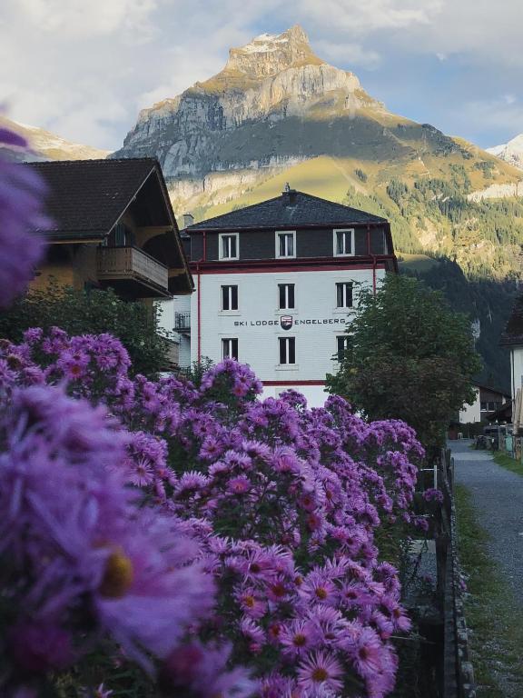 a building with purple flowers in front of a mountain at Ski Lodge Engelberg in Engelberg