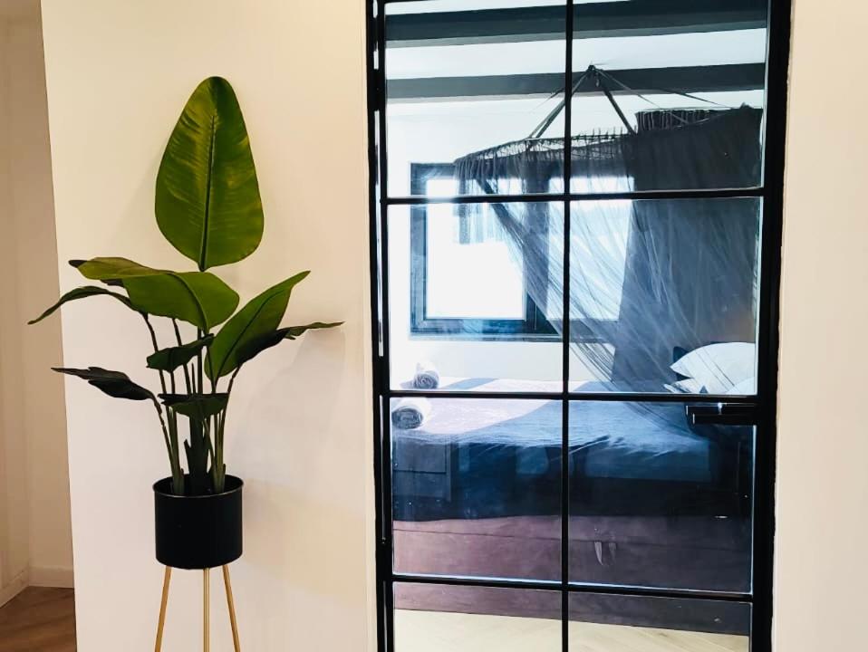 a plant in a black pot next to a mirror at Private Wellness Boa Vista in Vale da Certa