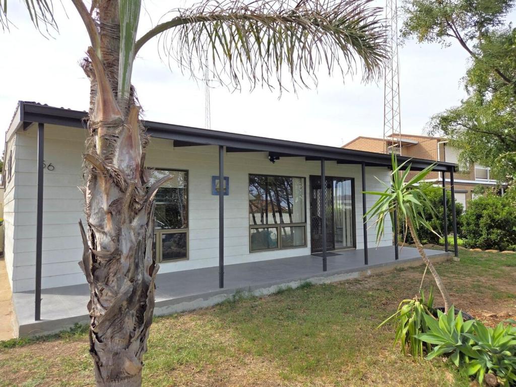 a house with a palm tree in front of it at Milliana House in Wallaroo