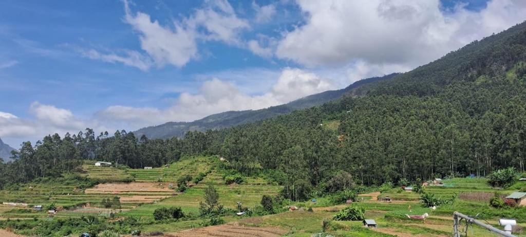 a hillside with fields and trees on a mountain at Grace villa Homestay in Vattavada
