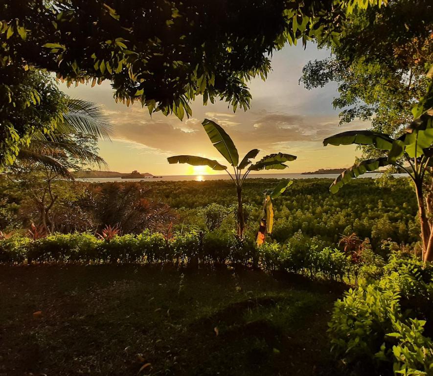 a person standing in a field with the sunset in the background at La Table d Alexandre Gîte de charme entre mangrove et mer in Hell-Ville