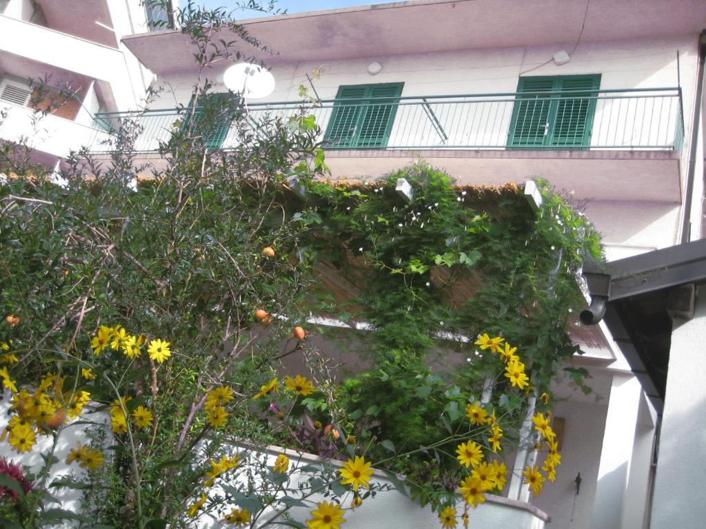 uma varanda de um edifício com flores em Apartman Sulić em Podgora