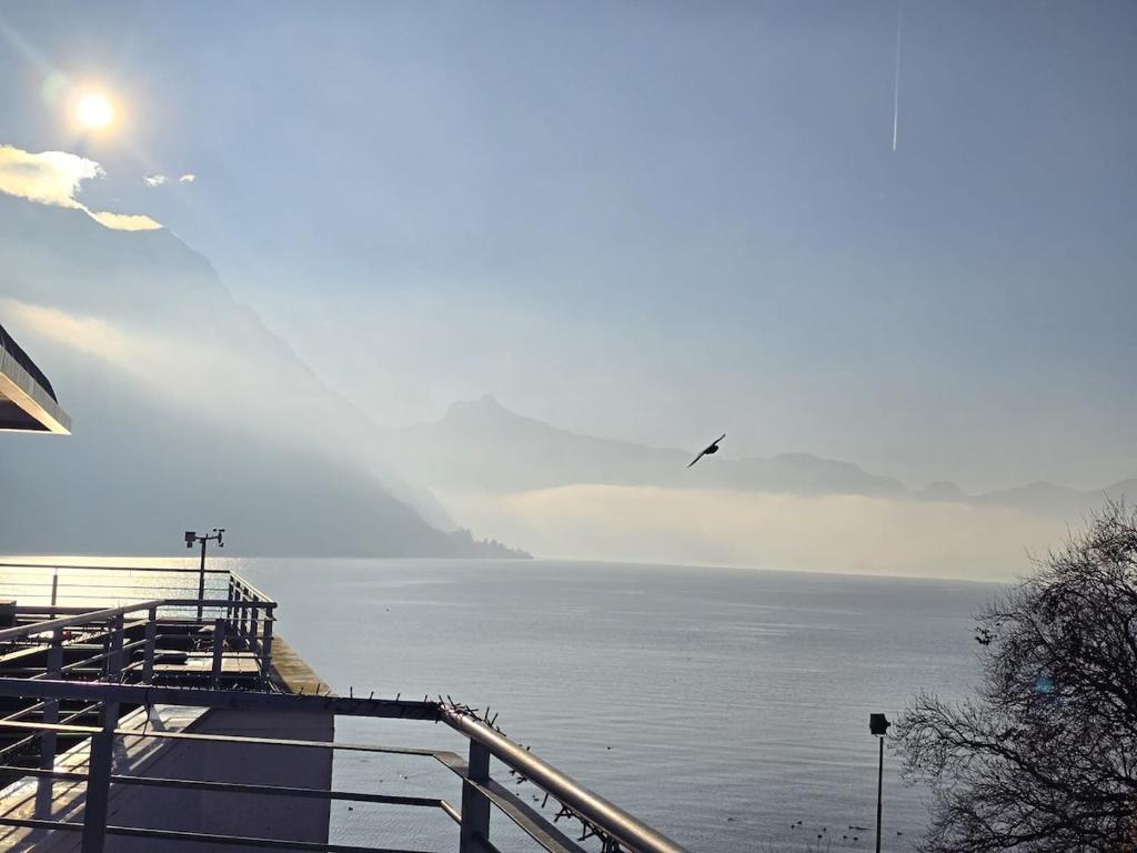 a bird flying over a body of water at Penthouse Panorama Seeblick in Gmunden