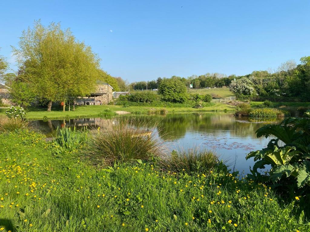 a pond in a field with grass and flowers at Little Barn, Greendale Farm in Barnstaple