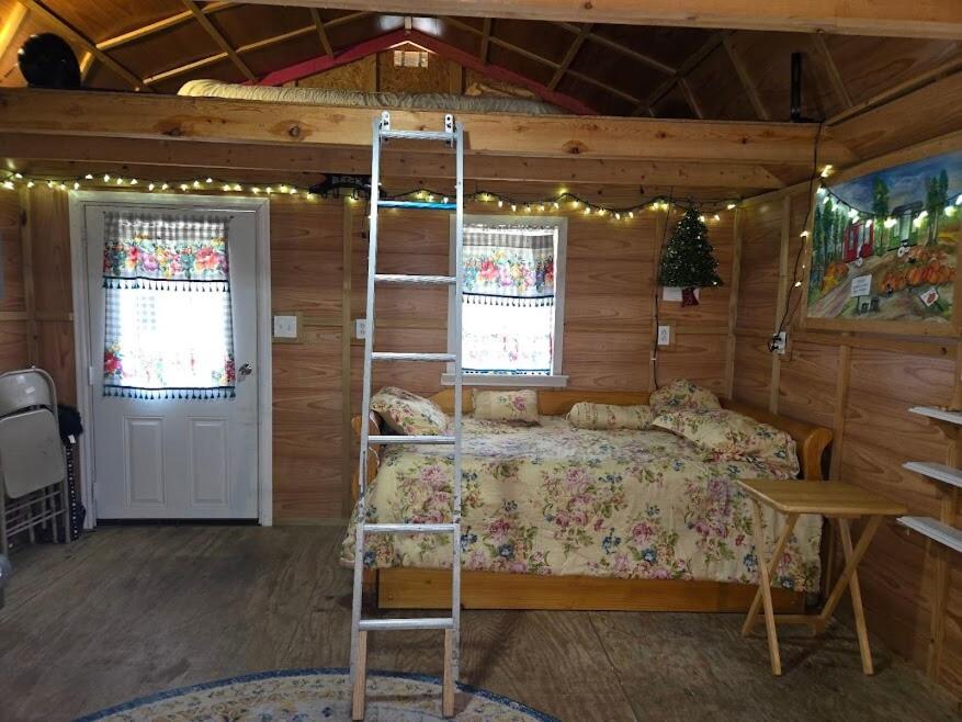 a bedroom with a bunk bed and a ladder at The Whip-o-Will in Moss Point