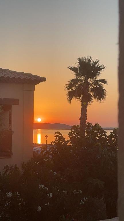 a sunset with a palm tree and a house at La Parenthèse Mézoise – Port plage à pied in Mèze