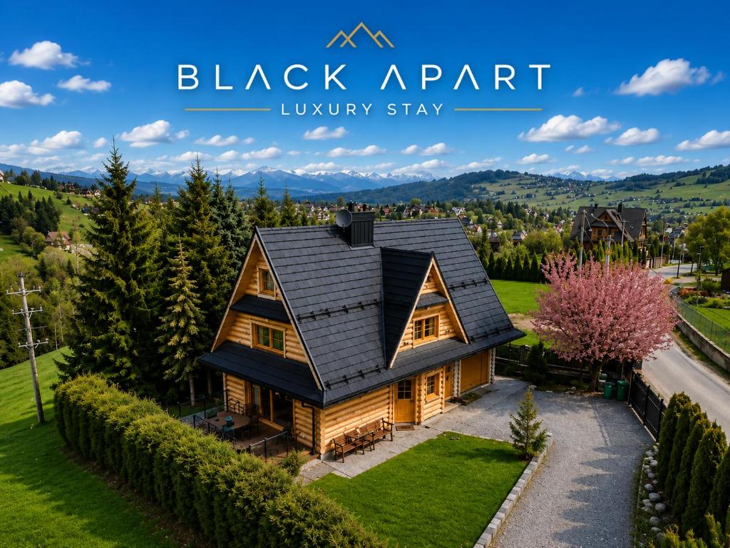 an aerial view of a black roofed log home at Willa Gocówka & SPA in Bukowina Tatrzańska