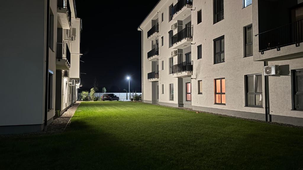 an empty alley between two buildings at night at Diana Apartments in Arad