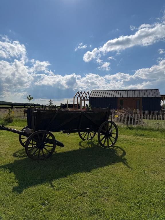 a horse drawn carriage parked in a field at Leśna Balia - Domek z balią na wyłączność in Stogniewice