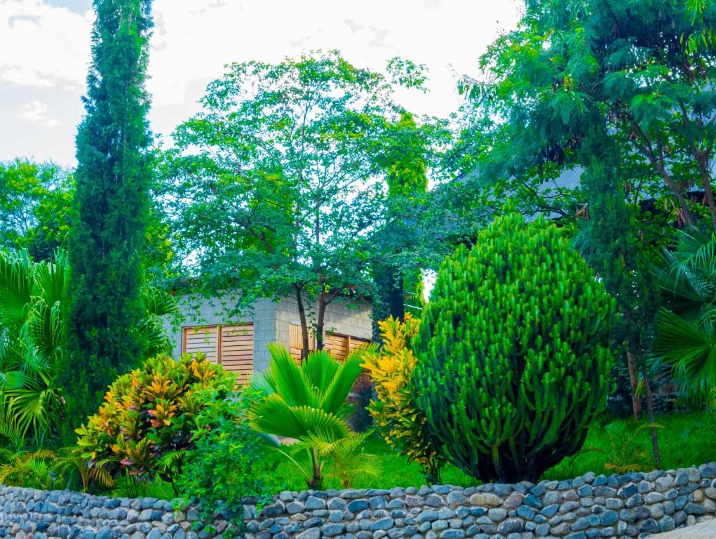 a garden with trees and a house in the background at Breezy Lodge in Moshi