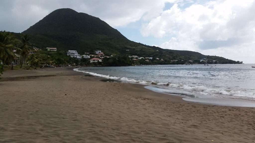 a sandy beach with a mountain in the background at Chez Lucia et Donatien in Les Anses-dʼArlets