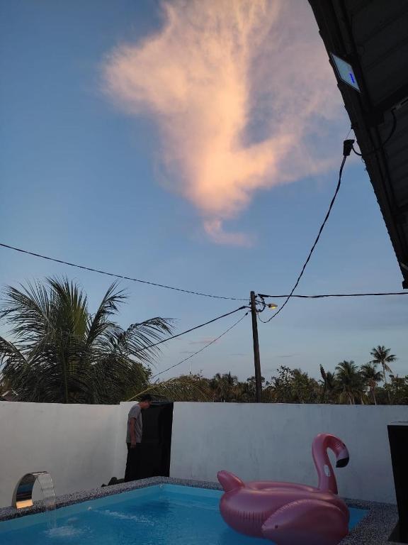 a pink flamingo sitting in a swimming pool at Rembulan Homestay in Mersing
