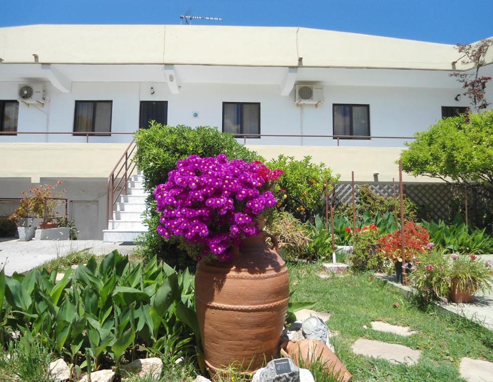 a large vase filled with purple flowers in front of a building at Evi Apartments And Studios in Theologos