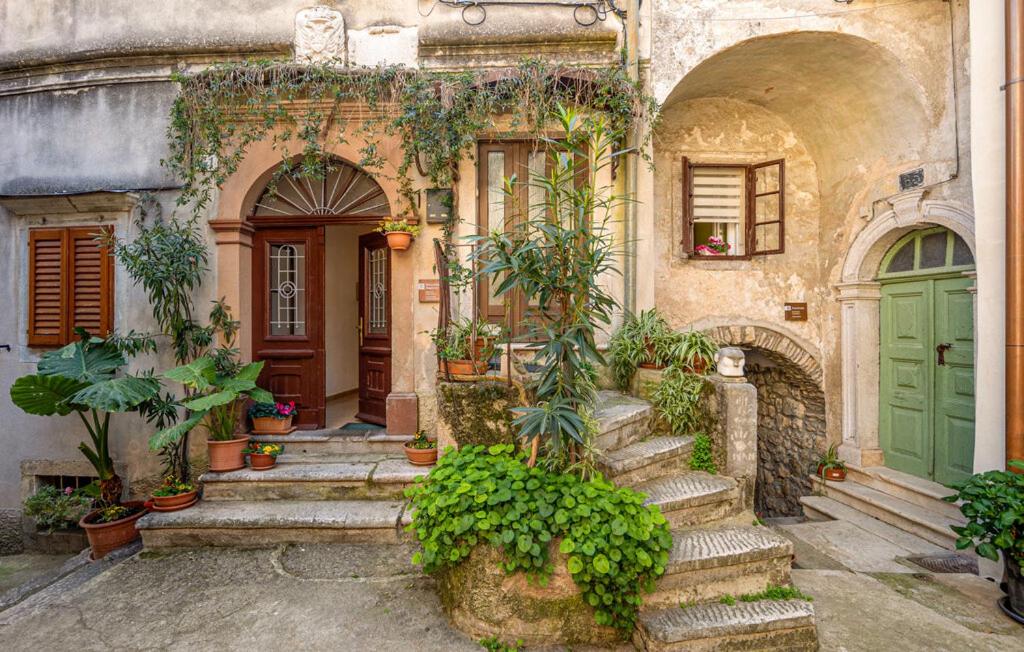 an old house with a green door and some plants at Apartment Avelina in Mošćenice