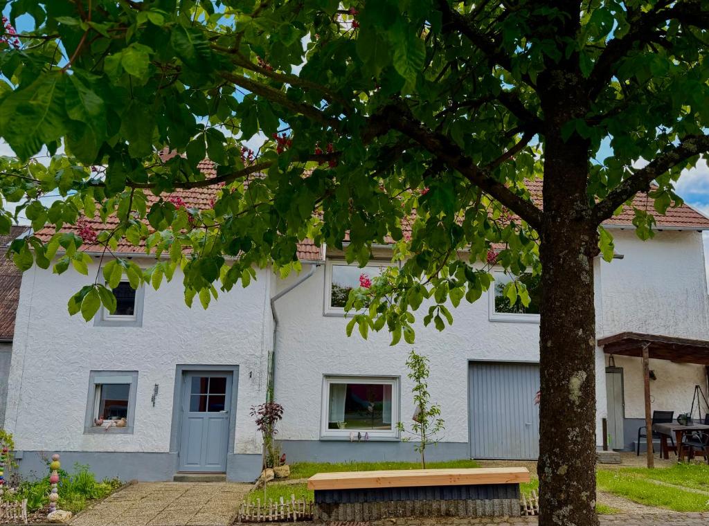 a white house with a tree in front of it at EifelFein in Niederstadtfeld