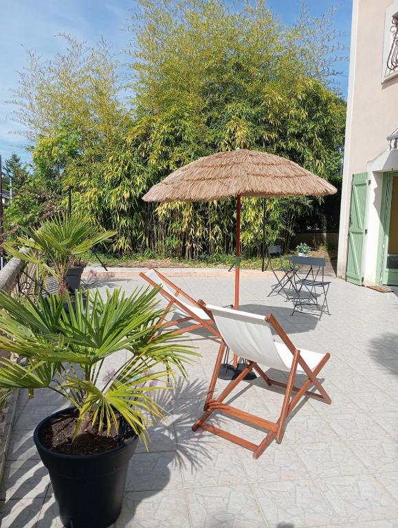 a chair and umbrella next to a potted plant at Les Cyprès in Vienne
