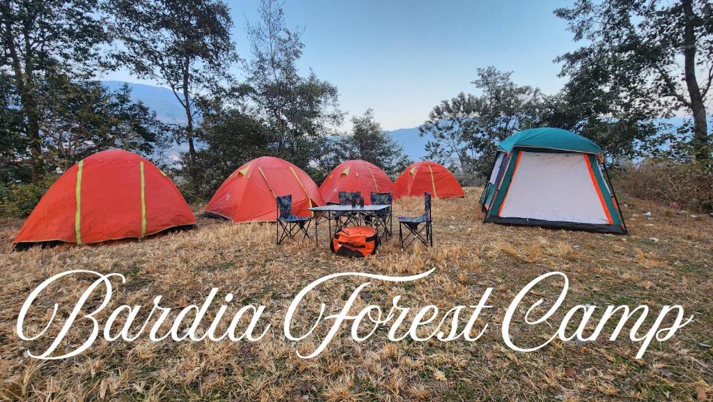 a group of tents in a field with the words buffalo forest camp at Bardia Forest Camp in Bardiyā