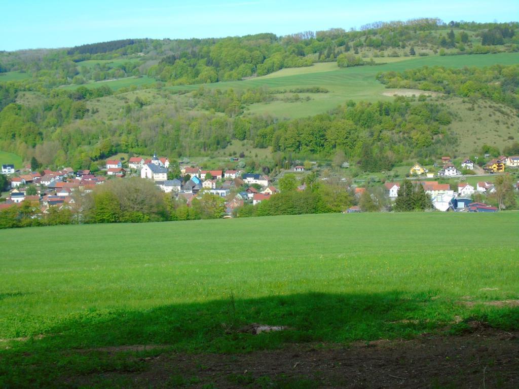 a green field with a town in the distance at Ferienwohnung Csilla 2 in Oberweid