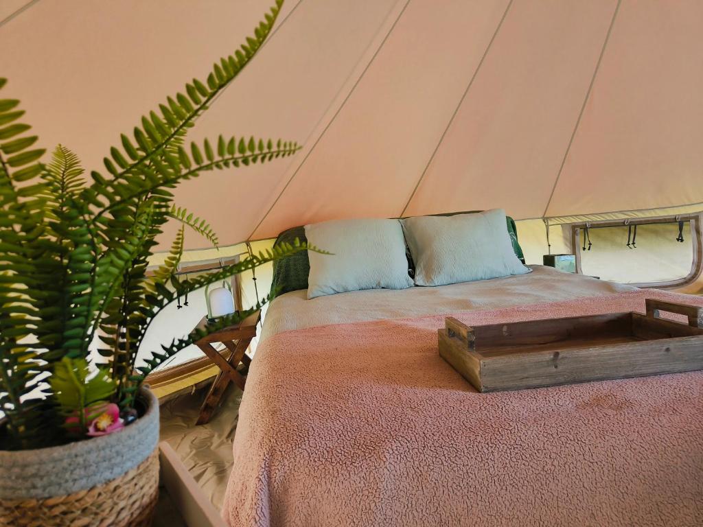 a bed in a tent with a potted plant at Lagom - Logeren in 't groen in Nieuwerkerken
