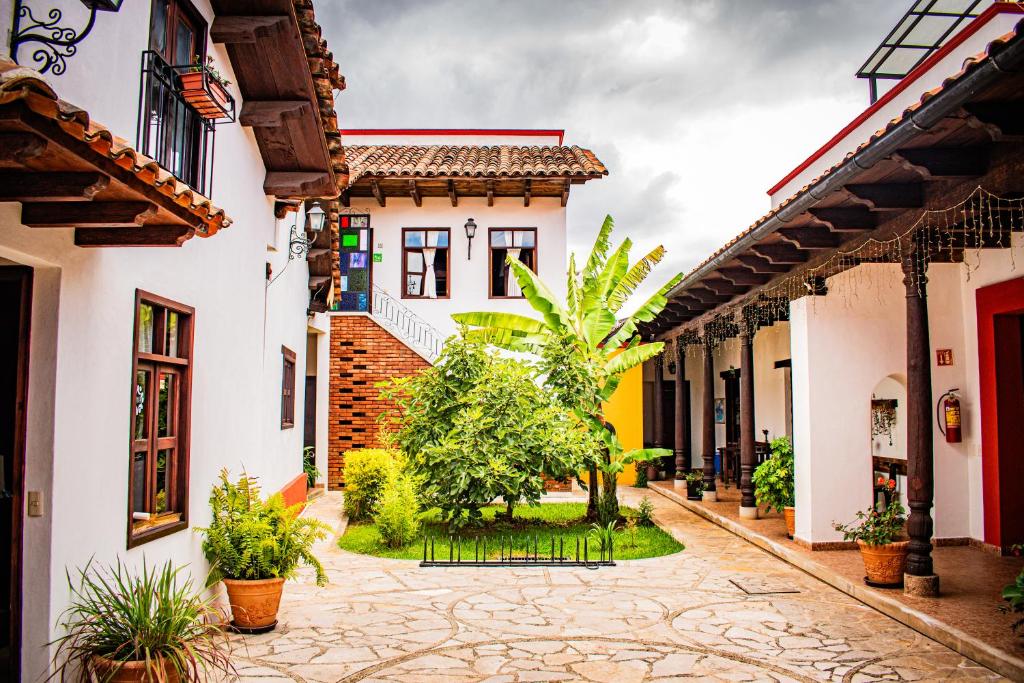 a courtyard of a house with plants and trees at Casa Tequio in San Cristóbal de Las Casas