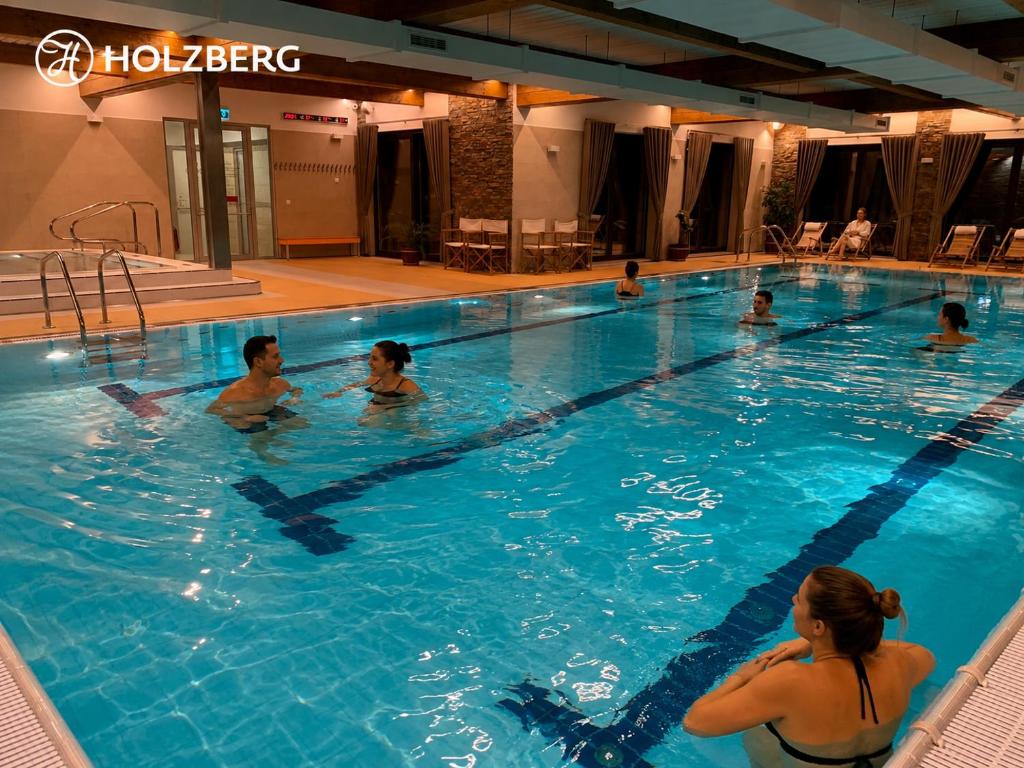 HOLZBERG hotel