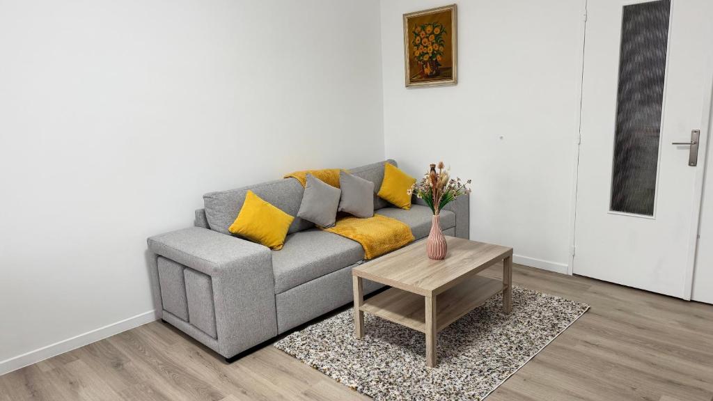 a living room with a grey couch with yellow pillows at Pau Elégance - 4 Personnes - Pau Hyper Centre - Clemenceau in Pau