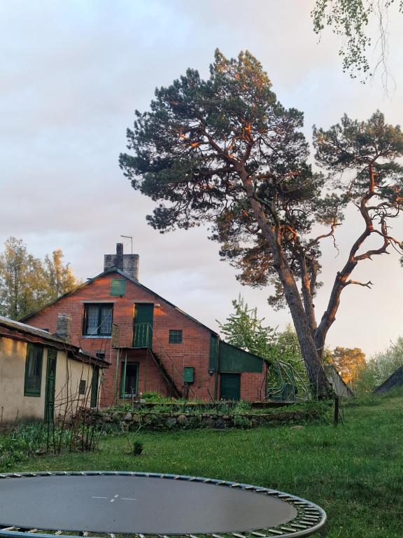 ein altes Haus mit einem Baum und einem Teich in der Unterkunft Pie omītes in Ventspils