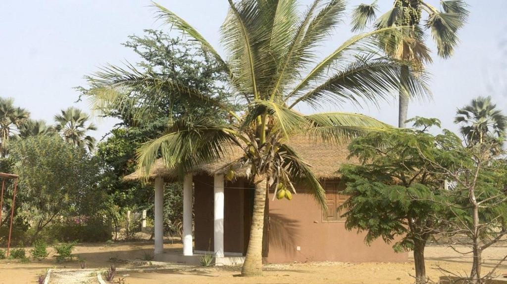 a palm tree in front of a house at Vacaciones Timonier in Mar Lodj